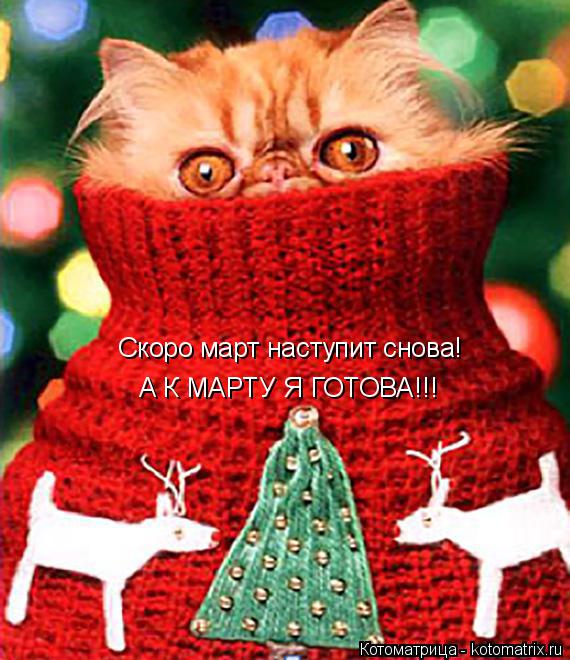 Котоматрица: Скоро март наступит снова! А К МАРТУ Я ГОТОВА!!!