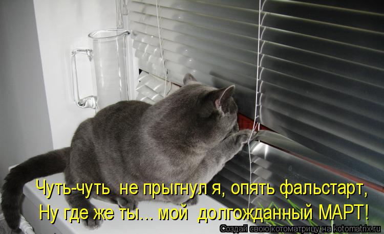 Чуть-чуть не прыгнул я, опять фальстарт, Ну где же ты... мой долгожданный МАРТ!... Котоматрица: Чуть-чуть не прыгнул я, опять фальстарт, Ну где же ты... мой долгожданный МАРТ!