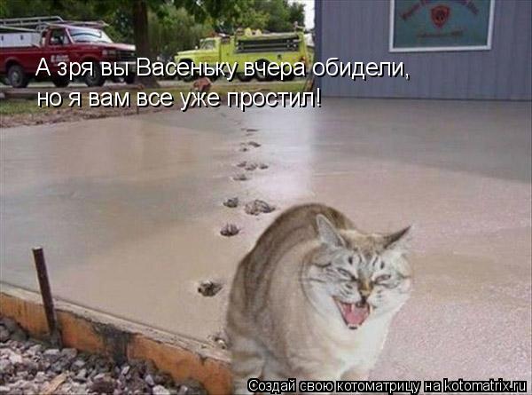 Котоматрица: А зря вы Васеньку вчера обидели,  но я вам все уже простил!