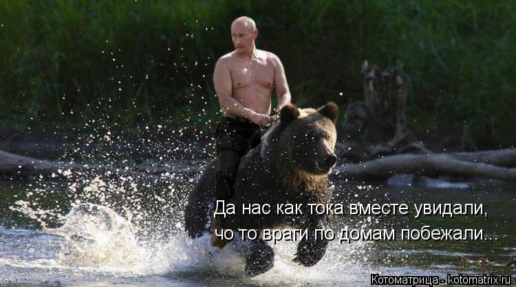 Котоматрица: Да нас как тока вместе увидали,  чо то враги по домам побежали...
