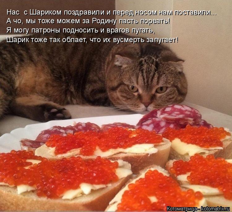 Котоматрица: Нас  с Шариком поздравили и перед носом нам поставили... А чо, мы тоже можем за Родину пасть порвать! Я могу патроны подносить и врагов пугать,