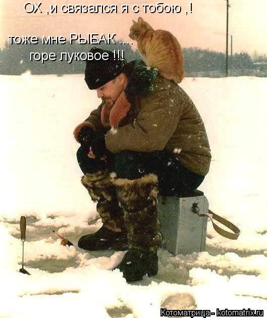 ОХ ,и связался я с тобою ,! тоже мне РЫБАК .... горе луковое !!!... Котоматрица: ОХ ,и связался я с тобою ,! тоже мне РЫБАК .... горе луковое !!!