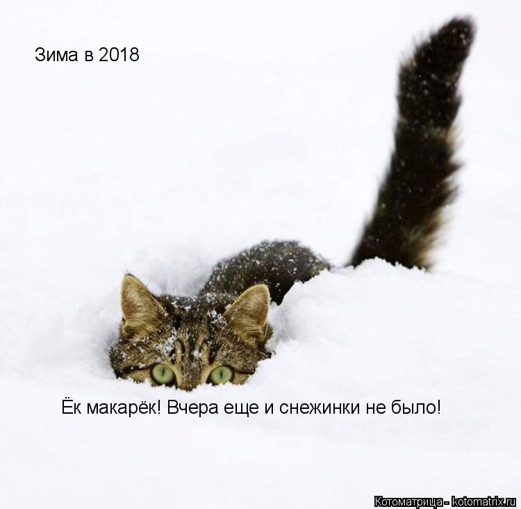 Котоматрица: Ёк макарёк! Вчера еще и снежинки не было! Зима в 2018
