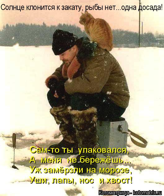А меня не бережёшь... Уж замёрзли на морозе, Уши, лапы, нос и хвост! Сам-то ты упаковался, Солнц... Котоматрица: А меня не бережёшь... Уж замёрзли на морозе, Уши, лапы, нос и хвост! Сам-то ты упаковался, Солнце клонится к закату, рыбы нет...одна досада!