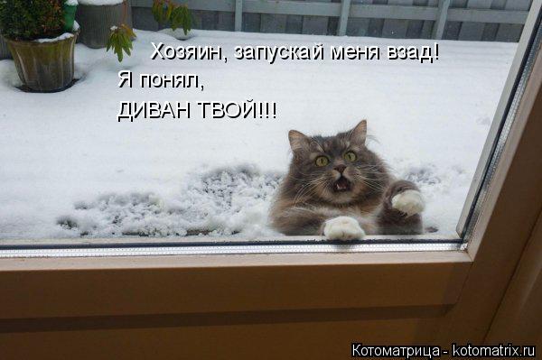 Котоматрица: Хозяин, запускай меня взад! Я понял, ДИВАН ТВОЙ!!!