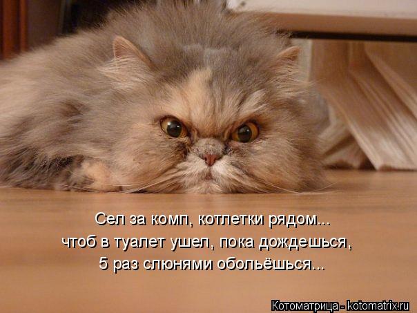 Котоматрица: Сел за комп, котлетки рядом... чтоб в туалет ушел, пока дождешься, 5 раз слюнями обольёшься...