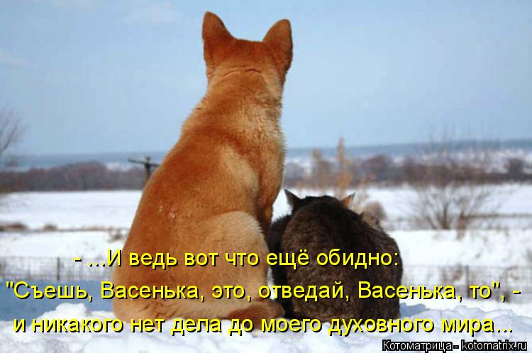 - ...И ведь вот что ещё обидно: и никакого нет дела до моего духовного мира... "Съешь, Васенька, это,... Котоматрица: - ...И ведь вот что ещё обидно: и никакого нет дела до моего духовного мира... "Съешь, Васенька, это, отведай, Васенька, то", -
