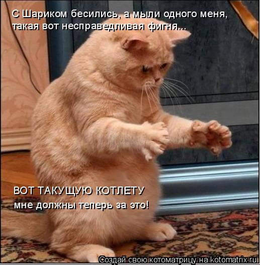 Котоматрица: С Шариком бесились, а мыли одного меня, такая вот несправедливая фигня... ВОТ ТАКУЩУЮ КОТЛЕТУ мне должны теперь за это!