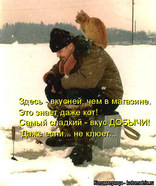 Котоматрица: Здесь - вкусней, чем в магазине. Это знает даже кот! Самый сладкий - вкус ДОБЫЧИ! Даже если... не клюет...