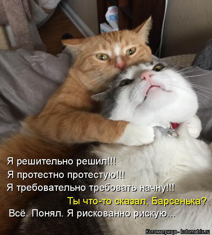 Я решительно решил!!! Я протестно протестую!!! Я требовательно требовать начну!!! Ты что-то сказал, Б... Котоматрица: Я решительно решил!!! Я протестно протестую!!! Я требовательно требовать начну!!! Ты что-то сказал, Барсенька? Всё. Понял. Я рискованно рискую...