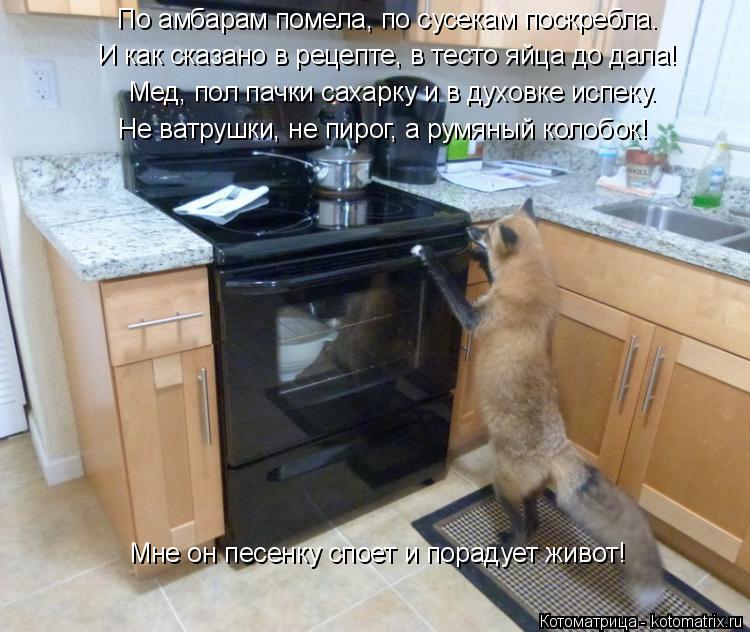 По амбарам помела, по сусекам поскребла. И как сказано в рецепте, в тесто яйца до дала! Не ватрушки, ... Котоматрица: По амбарам помела, по сусекам поскребла. И как сказано в рецепте, в тесто яйца до дала! Не ватрушки, не пирог, а румяный колобок! Мне он песенк?