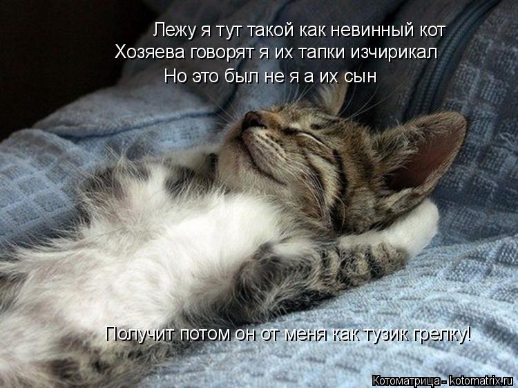Лежу я тут такой как невинный кот Хозяева говорят я их тапки изчирикал Но это был не я а их сын Получ... Котоматрица: Лежу я тут такой как невинный кот Хозяева говорят я их тапки изчирикал Но это был не я а их сын Получит потом он от меня как тузик грелку!