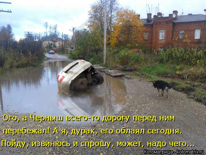 Ого, а Черныш всего-то дорогу перед ним перебежал! А я, дурак, его облаял сегодня. Пойду, извинюсь и... Котоматрица: Ого, а Черныш всего-то дорогу перед ним перебежал! А я, дурак, его облаял сегодня. Пойду, извинюсь и спрошу, может, надо чего...