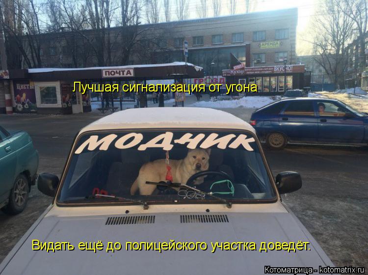 Лучшая сигнализация от угона Видать ещё до полицейского участка доведёт.... Котоматрица: Лучшая сигнализация от угона Видать ещё до полицейского участка доведёт.
