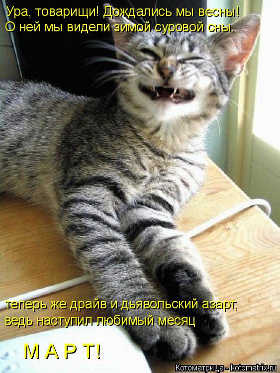 Ура, товарищи! Дождались мы весны! теперь же драйв и дьявольский азарт, О ней мы видели зимой сурово... Котоматрица: Ура, товарищи! Дождались мы весны! теперь же драйв и дьявольский азарт, О ней мы видели зимой суровой сны. ведь наступил любимый месяц М А Р ?