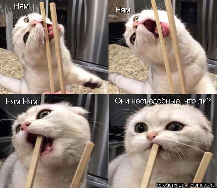 Ням Ням Ням Ням Они несъедобные, что ли?... Котоматрица: Ням Ням Ням Ням Они несъедобные, что ли?