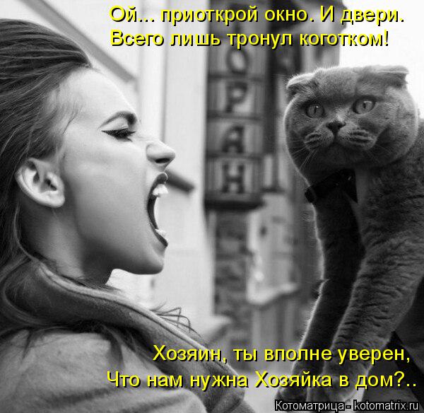 Котоматрица: Ой... приоткрой окно. И двери. Всего лишь тронул коготком! Хозяин, ты вполне уверен, Что нам нужна Хозяйка в дом?..