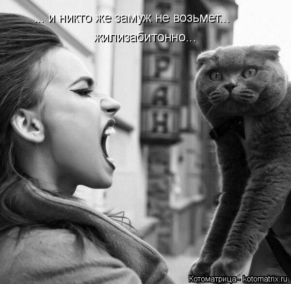 Котоматрица: ... и никто же замуж не возьмет... жилизабитонно...