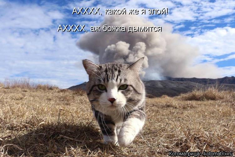 Котоматрица: АХХХХ, какой же я злой! АХХХХ, аж божка дымится