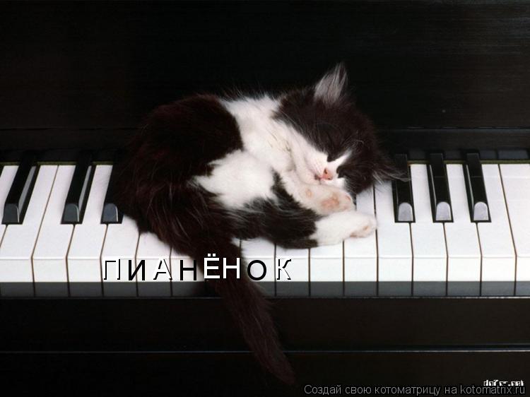 Котоматрица: П    А    ЁН    К И    Н      О
