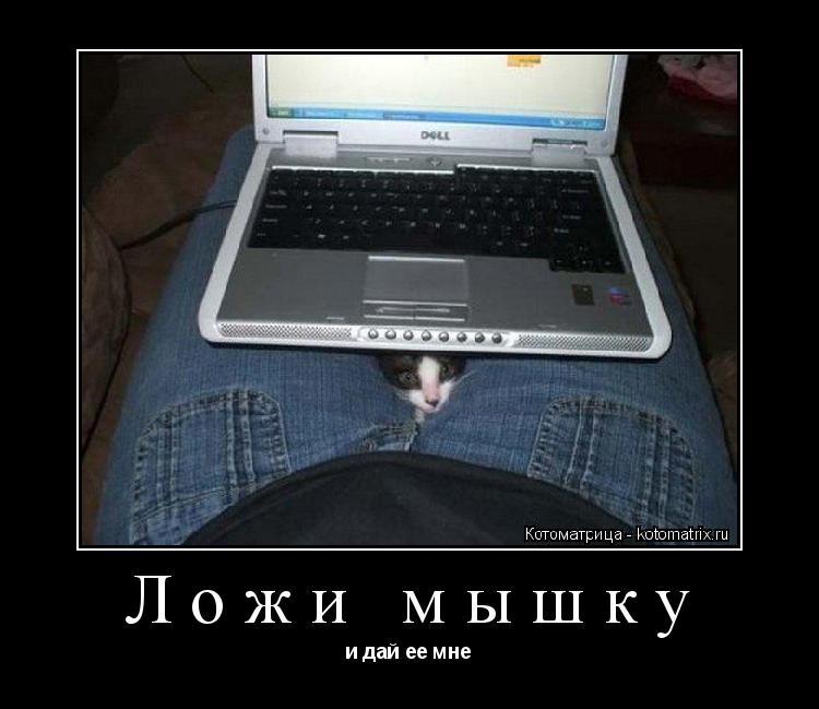 Котоматрица: Ложи мышку и дай ее мне