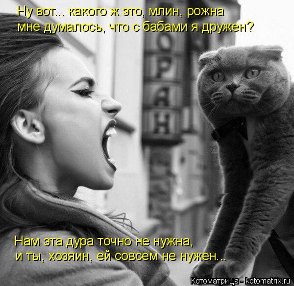 Котоматрица: Ну вот... какого ж это, млин, рожна  Ну вот... какого ж это, млин, рожна  мне думалось, что с бабами я дружен? Нам эта дура точно не нужна, и ты, хозя