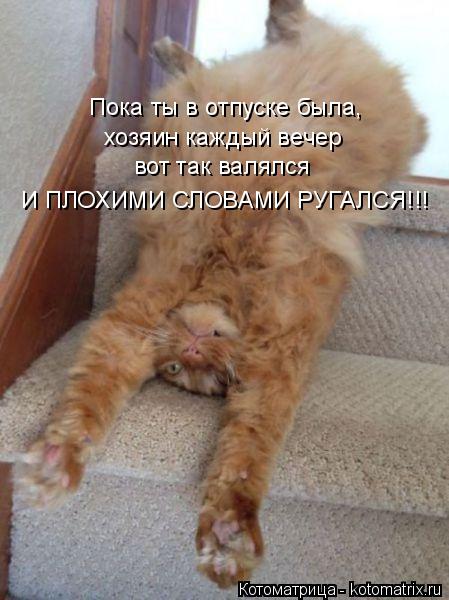 Котоматрица: Пока ты в отпуске была,  хозяин каждый вечер  вот так валялся  И ПЛОХИМИ СЛОВАМИ РУГАЛСЯ!!!
