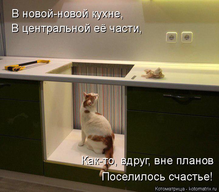 Котоматрица: В новой-новой кухне, В центральной её части, Как-то, вдруг, вне планов Поселилось счастье!