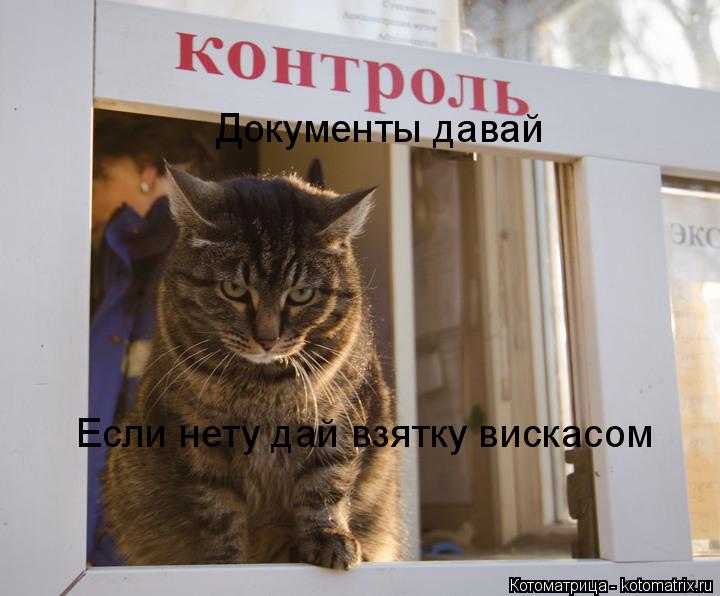 Котоматрица: Документы давай Если нету дай взятку вискасом