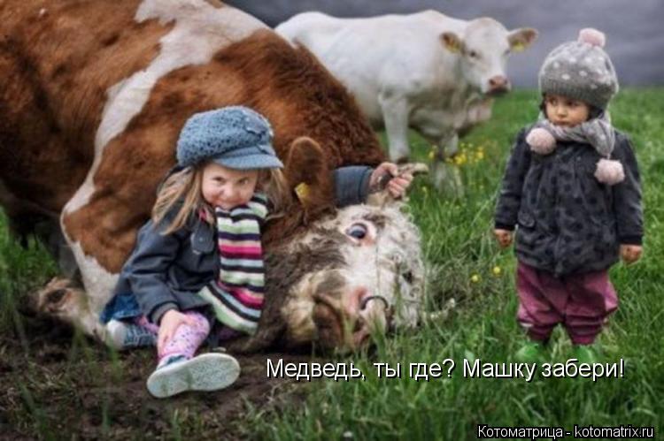 Котоматрица: Медведь, ты где? Машку забери!