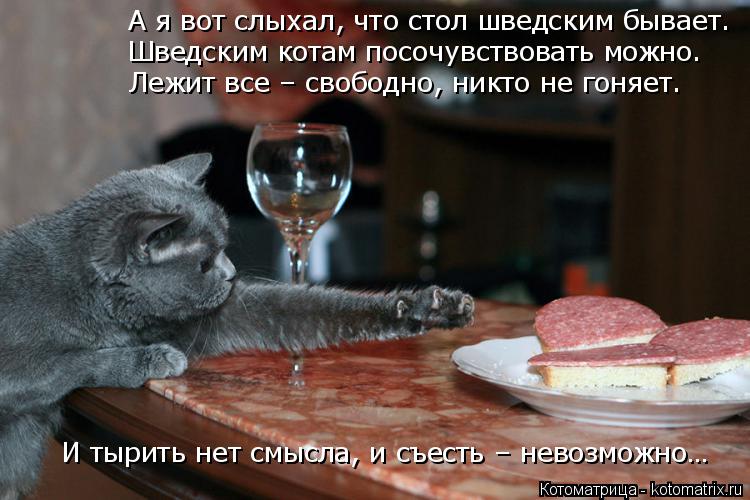 Котоматрица: А я вот слыхал, что стол шведским бывает. Шведским котам посочувствовать можно. Лежит все – свободно, никто не гоняет. И тырить нет смысла, и 