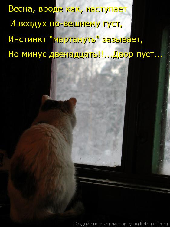 Весна, вроде как, наступает Инстинкт "мартануть" зазывает, И воздух по-вешнему густ, Но минус двенадц... Котоматрица: Весна, вроде как, наступает Инстинкт "мартануть" зазывает, И воздух по-вешнему густ, Но минус двенадцать!!...Двор пуст...