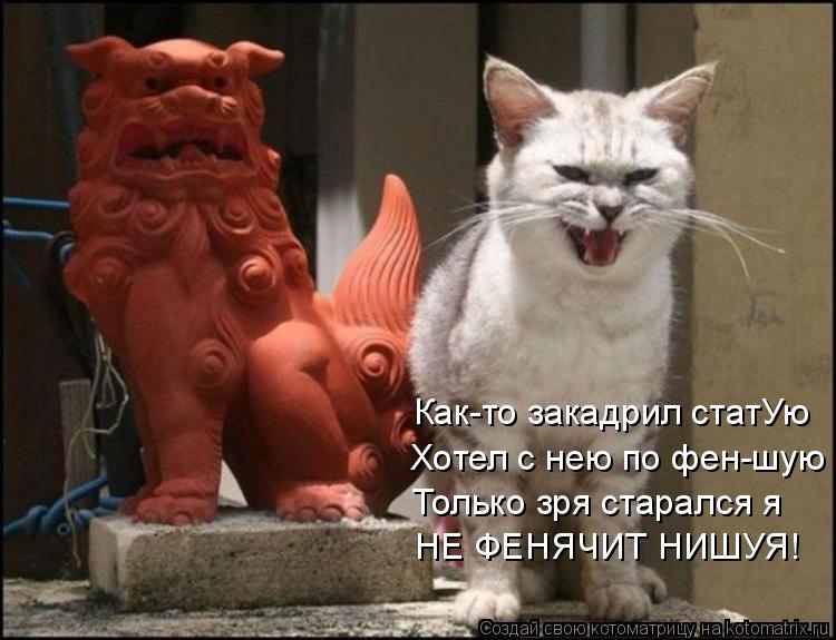 Как-то закадрил статУю Хотел с нею по фен-шую Только зря старался я НЕ ФЕНЯЧИТ НИШУЯ!... Котоматрица: Как-то закадрил статУю Хотел с нею по фен-шую Только зря старался я НЕ ФЕНЯЧИТ НИШУЯ!