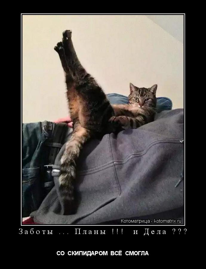 Котоматрица: Заботы ... Планы !!!  и Дела ???  СО  СКИПИДАРОМ  ВСЁ  СМОГЛА