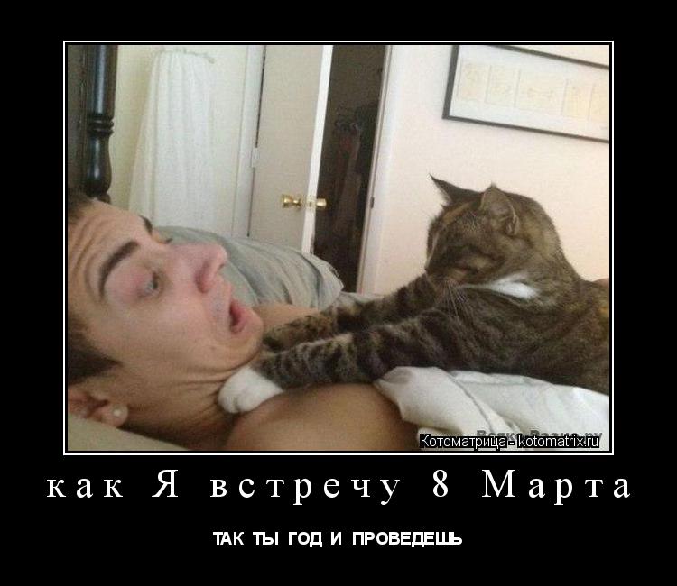 Котоматрица: как Я встречу 8 Марта ТАК  ТЫ  ГОД  И  ПРОВЕДЕШЬ
