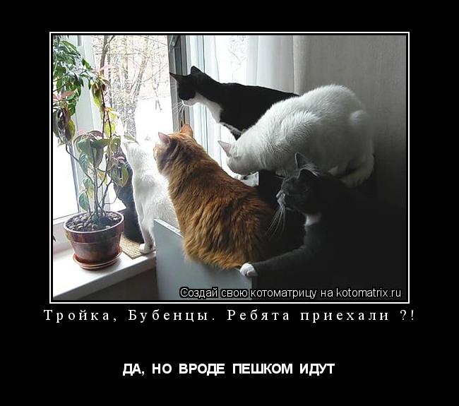 Котоматрица: Тройка, Бубенцы. Ребята приехали ?! ДА,  НО  ВРОДЕ  ПЕШКОМ  ИДУТ