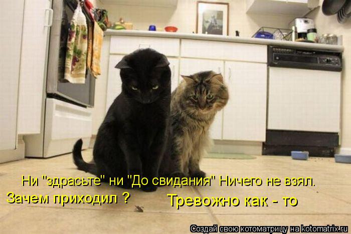 Котоматрица: Ни "здрасьте" ни "До свидания" Ничего не взял.   Зачем приходил ?   Тревожно как - то