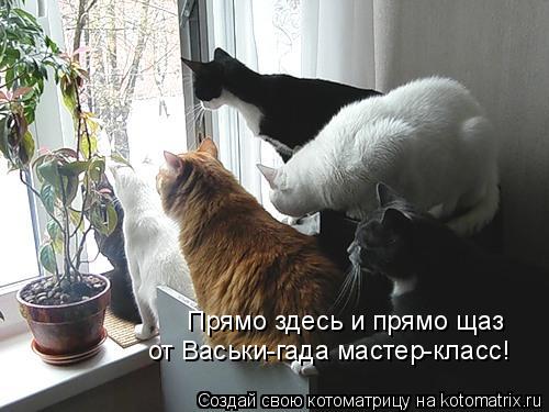 Котоматрица: Прямо здесь и прямо щаз от Васьки-гада мастер-класс!