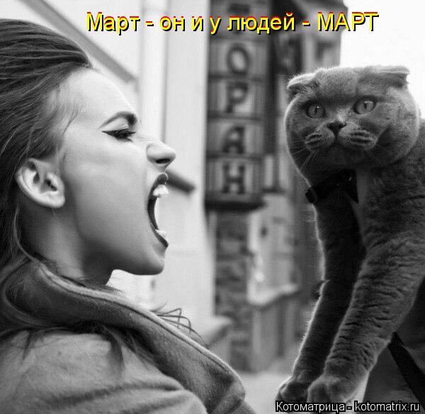 Котоматрица: Март - он и у людей - МАРТ Март - он и у людей - МАРТ