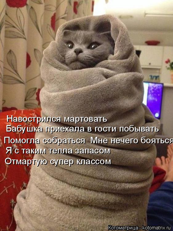 Котоматрица: Навострился мартовать Бабушка приехала в гости побывать Помогла собраться  Мне нечего бояться Я с таким тепла запасом Отмартую супер клас?