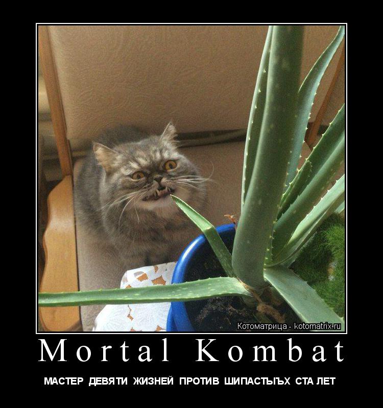 Котоматрица: Mortal Kombat МАСТЕР  ДЕВЯТИ  ЖИЗНЕЙ  ПРОТИВ  ШИПАСТЫЪХ  СТА ЛЕТ 