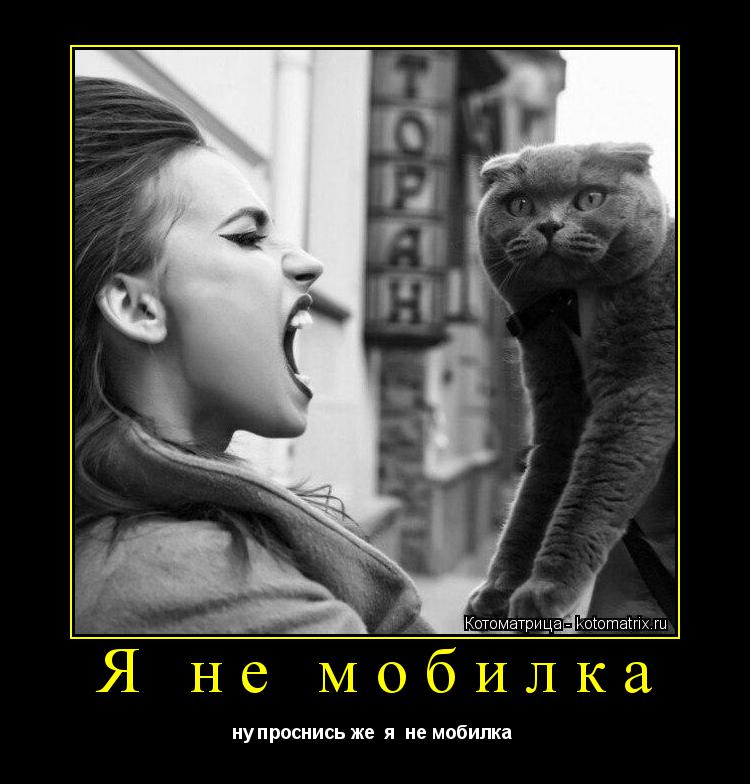 Котоматрица: Я не мобилка ну проснись же  я  не мобилка 