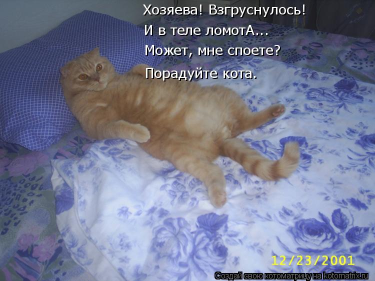 http://kotomatrix.ru/images/lolz/2018/03/09/kotomatritsa_RO.jpg