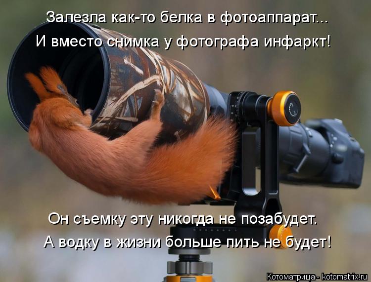 Он съемку эту никогда не позабудет. А водку в жизни больше пить не будет! Залезла как-то белка в фото... Котоматрица: Он съемку эту никогда не позабудет. А водку в жизни больше пить не будет! Залезла как-то белка в фотоаппарат... И вместо снимка у фотографа ин?