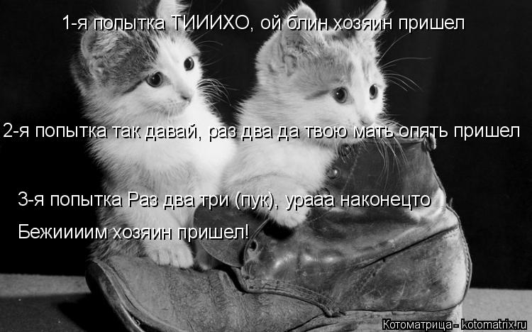 Котоматрица: 1-я попытка ТИИИХО, ой блин хозяин пришел 2-я попытка так давай, раз два да твою мать опять пришел 3-я попытка Раз два три (пук), урааа наконецто 