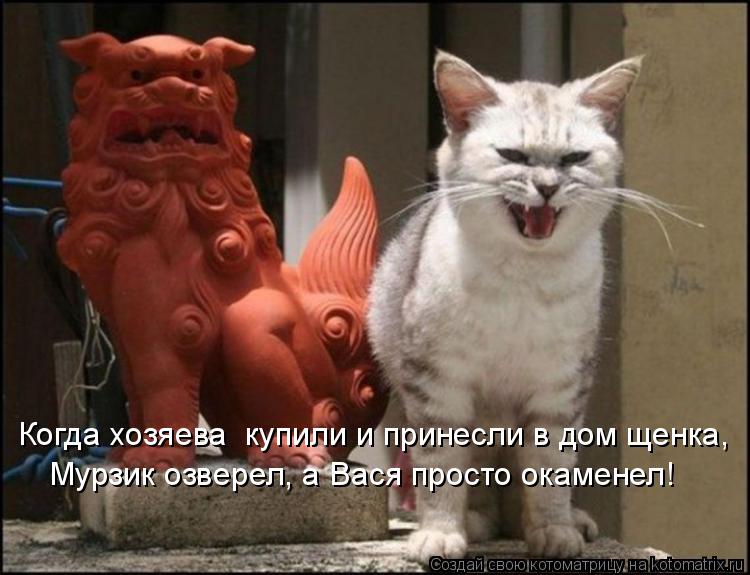 Когда хозяева купили и принесли в дом щенка, Мурзик озверел, а Вася просто окаменел!... Котоматрица: Когда хозяева купили и принесли в дом щенка, Мурзик озверел, а Вася просто окаменел!
