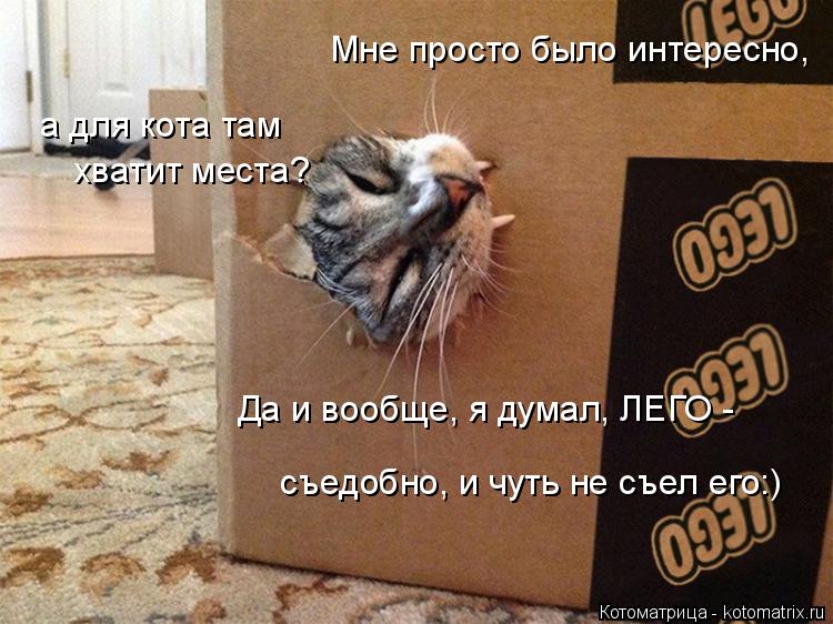 Котоматрица: а для кота там  хватит места? Да и вообще, я думал, ЛЕГО -  Мне просто было интересно, съедобно, и чуть не съел его:)