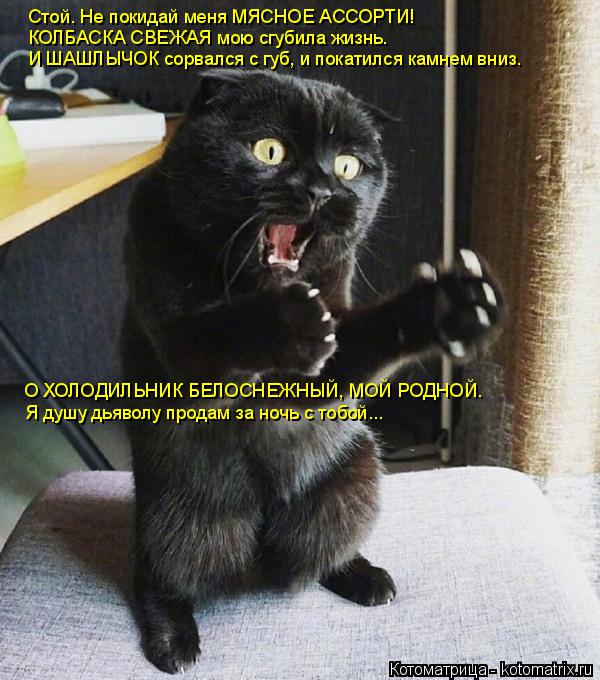 Котоматрица: Стой. Hе покидай меня МЯСНОЕ АССОРТИ! КОЛБАСКА СВЕЖАЯ мою сгубила жизнь. И ШАШЛЫЧОК сорвался с губ, и покатился камнем вниз. О ХОЛОДИЛЬНИК БЕ?