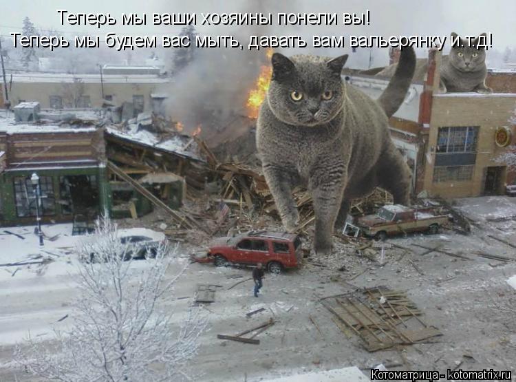 Теперь мы ваши хозяины понели вы! Теперь мы будем вас мыть, давать вам вальерянку и.т.д!... Котоматрица: Теперь мы ваши хозяины понели вы! Теперь мы будем вас мыть, давать вам вальерянку и.т.д!