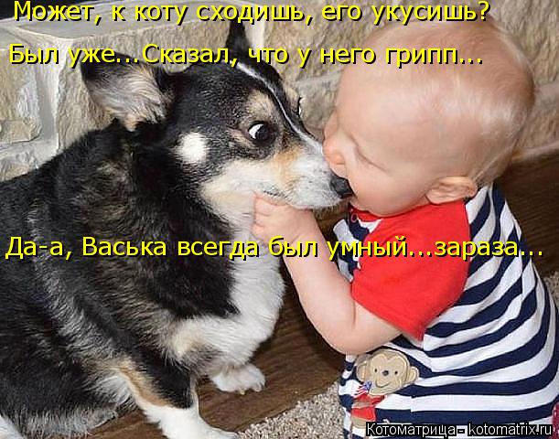 Может, к коту сходишь, его укусишь? Был уже...Сказал, что у него грипп... Да-а, Васька всегда был умн... Котоматрица: Может, к коту сходишь, его укусишь? Был уже...Сказал, что у него грипп... Да-а, Васька всегда был умный...зараза...